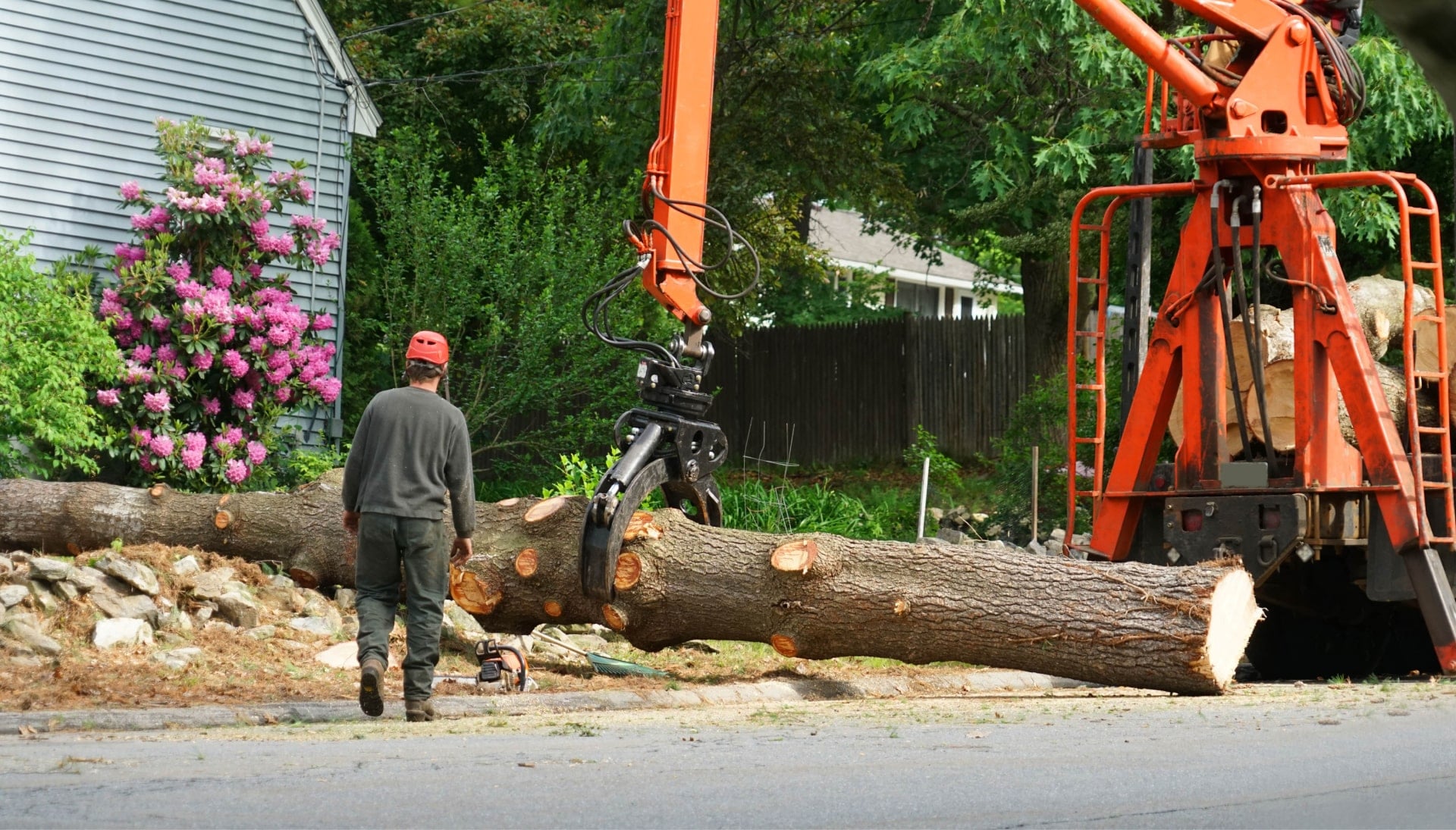 Local partner for Tree removal services in Medford
